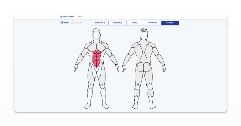 #健身 #网站💪🏻肌肉wiki - 一个专注于肌肉训练的网站📃首页展示的是身体肌肉分布图点击任意一个部位，会进入该部位肌肉训练教学；教学有动图以及文字顶部工具栏还有卡路里计算器、营养摄入计算器、极限重量计算器此外，把.com改成.cn进入的是该网站的高仿汉化版，有广告📢关注频道：@geekshare 💬加入群聊：@igeekshare📮欢迎投稿：@Geekshare_bot